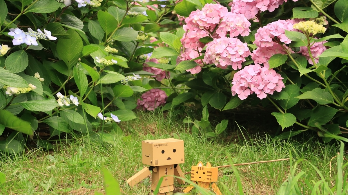 f:id:shirokumapanda:20200727014230j:plain