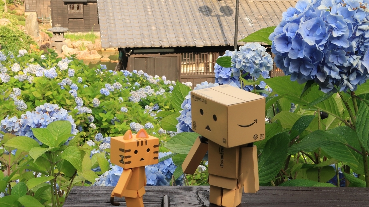 f:id:shirokumapanda:20200803015755j:plain