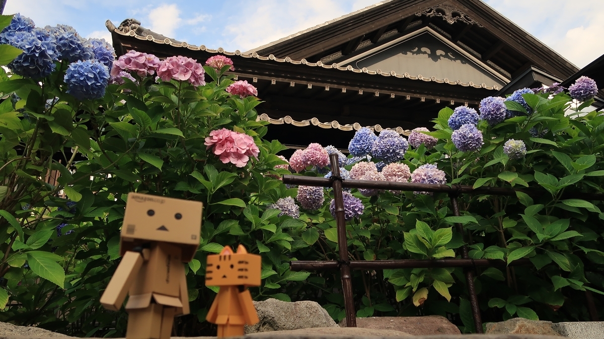 f:id:shirokumapanda:20200803015809j:plain