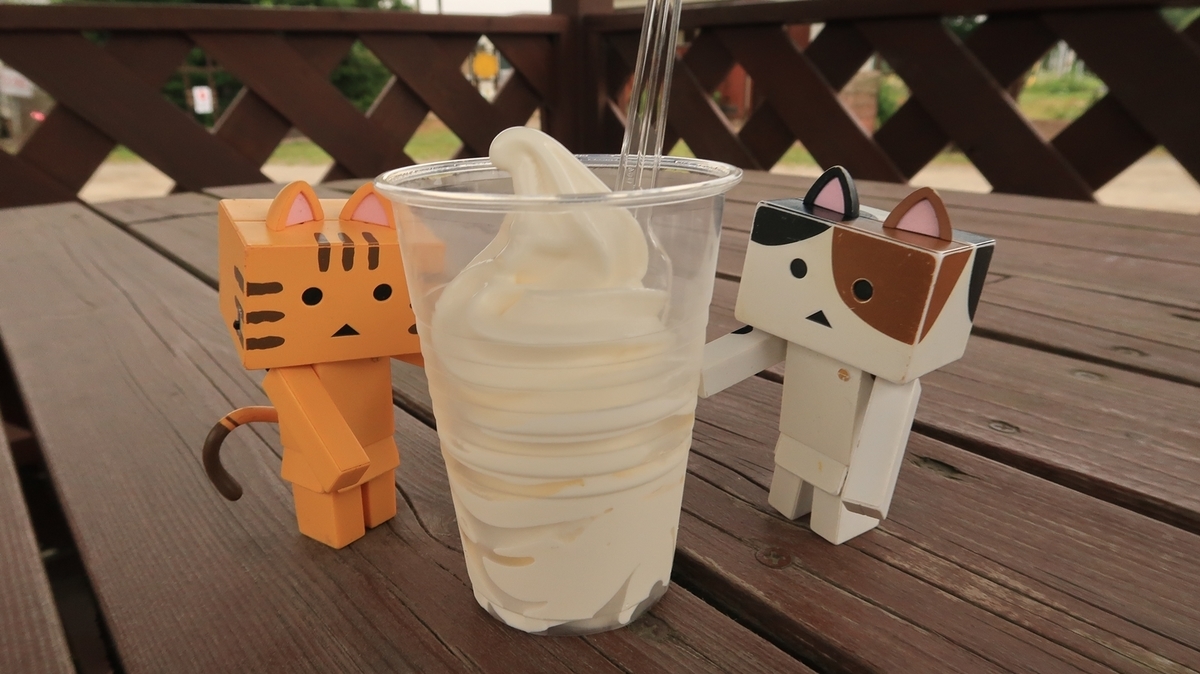 f:id:shirokumapanda:20200804005309j:plain