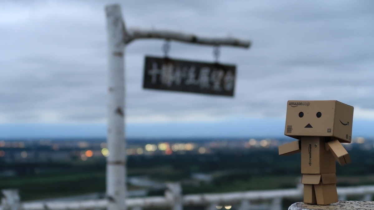 f:id:shirokumapanda:20200809100814j:plain