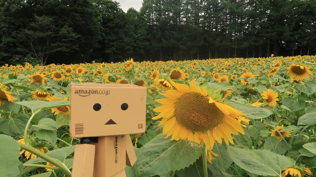 f:id:shirokumapanda:20200810005142j:plain