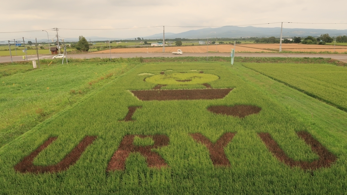 f:id:shirokumapanda:20200810005204j:plain