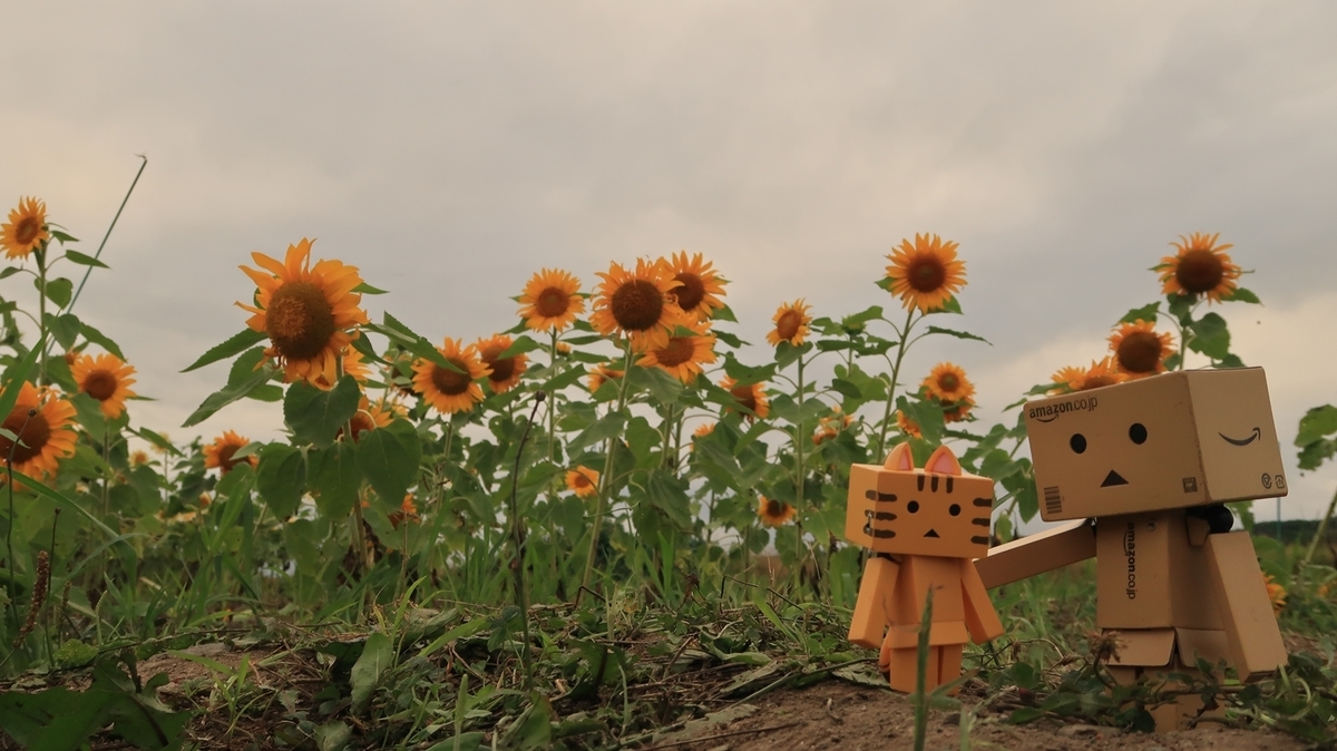 f:id:shirokumapanda:20200810005224j:plain