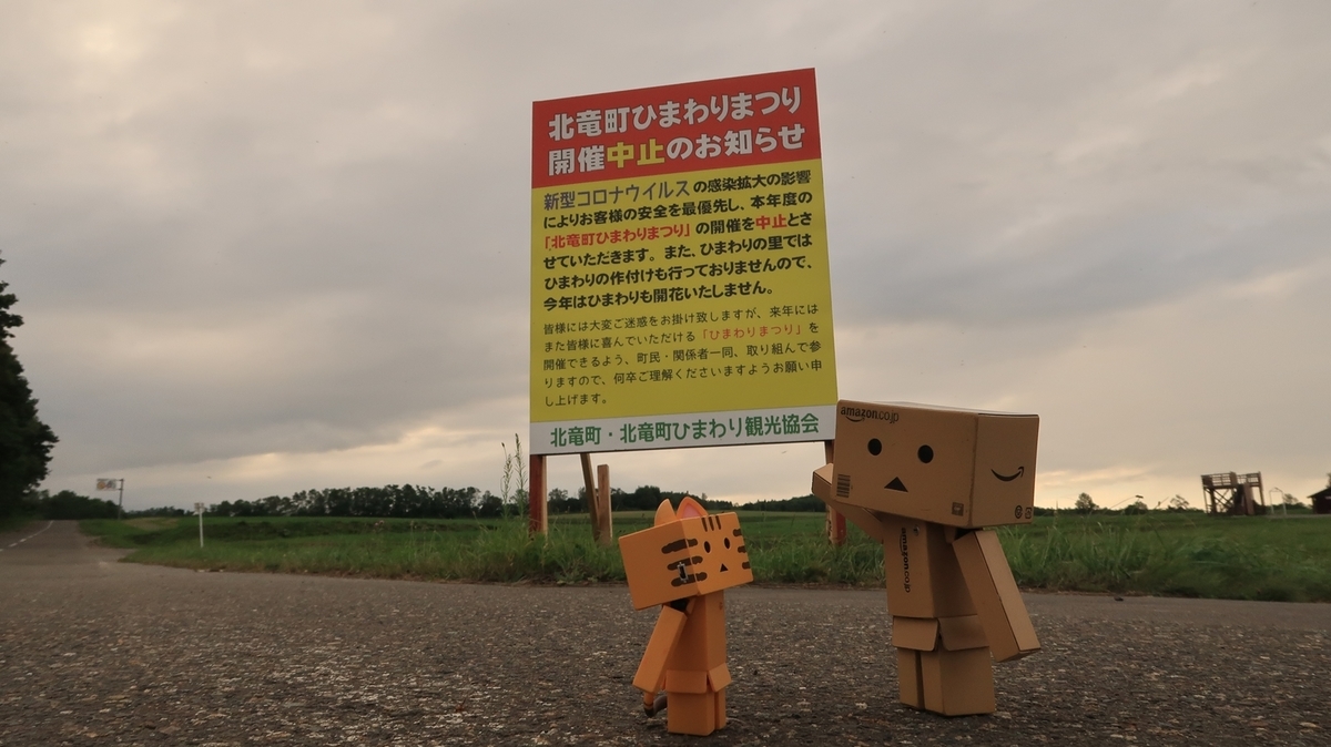 f:id:shirokumapanda:20200810005241j:plain