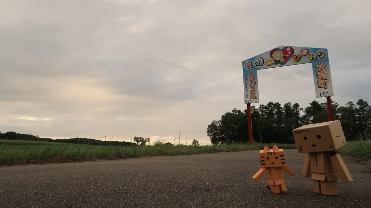 f:id:shirokumapanda:20200810005247j:plain