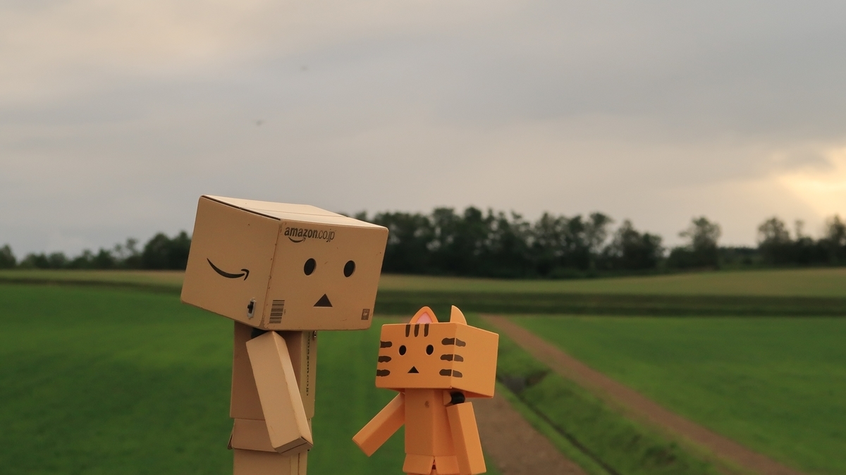 f:id:shirokumapanda:20200810005256j:plain