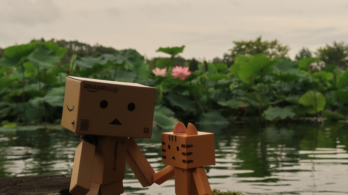 f:id:shirokumapanda:20200814235222j:plain