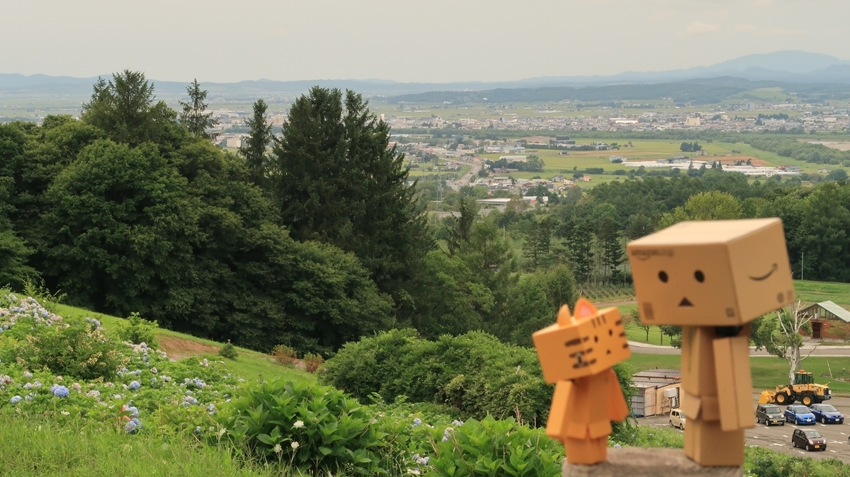 f:id:shirokumapanda:20200814235257j:plain