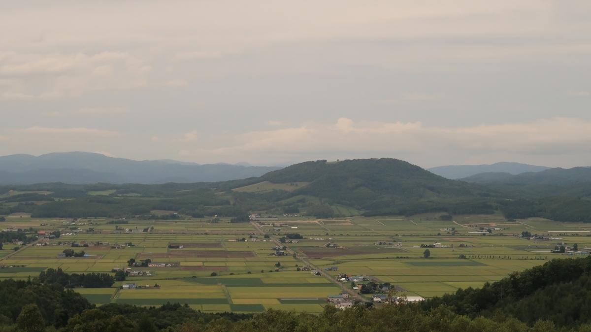 f:id:shirokumapanda:20200814235331j:plain