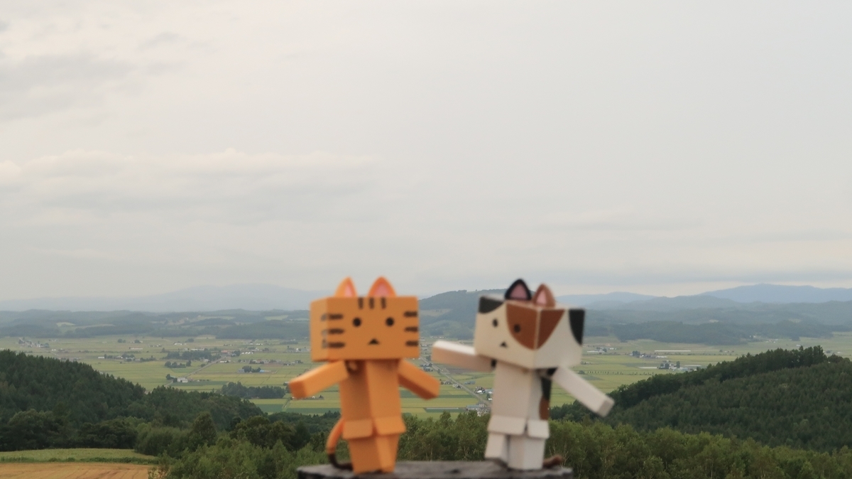 f:id:shirokumapanda:20200814235415j:plain