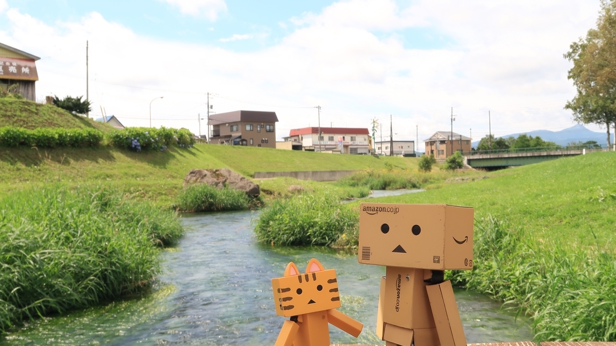 f:id:shirokumapanda:20200817005908j:plain