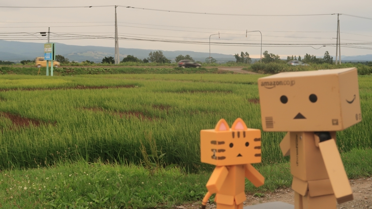 f:id:shirokumapanda:20200828224831j:plain