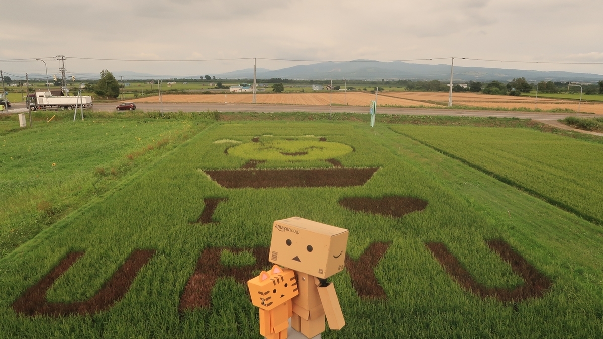 f:id:shirokumapanda:20200828224923j:plain