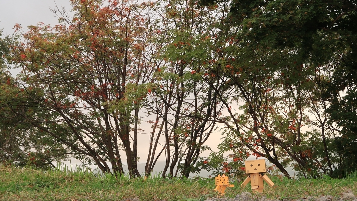 f:id:shirokumapanda:20200907000708j:plain