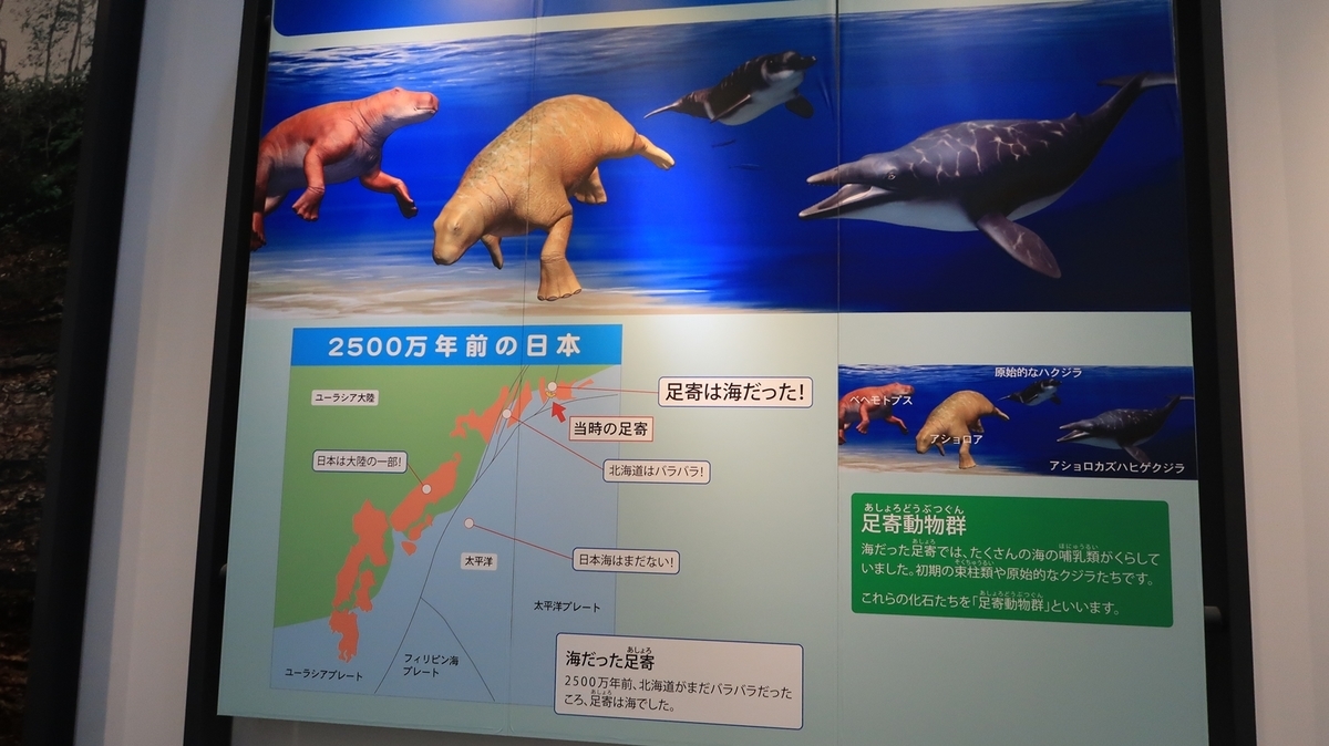 f:id:shirokumapanda:20200930231423j:plain
