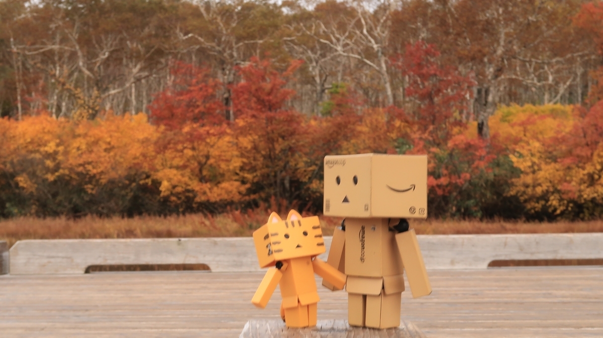 f:id:shirokumapanda:20201011223629j:plain