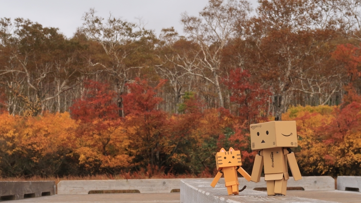 f:id:shirokumapanda:20201011223635j:plain