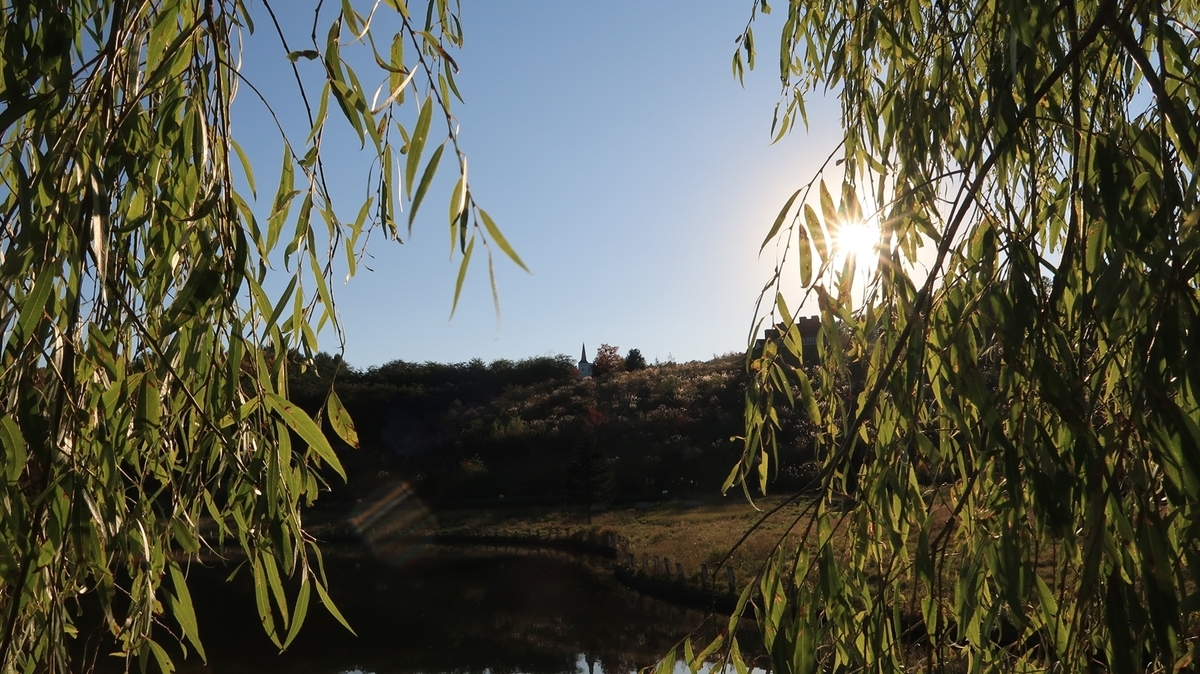 f:id:shirokumapanda:20201019234003j:plain f:id:shirokumapanda:20201019234003j:plain
