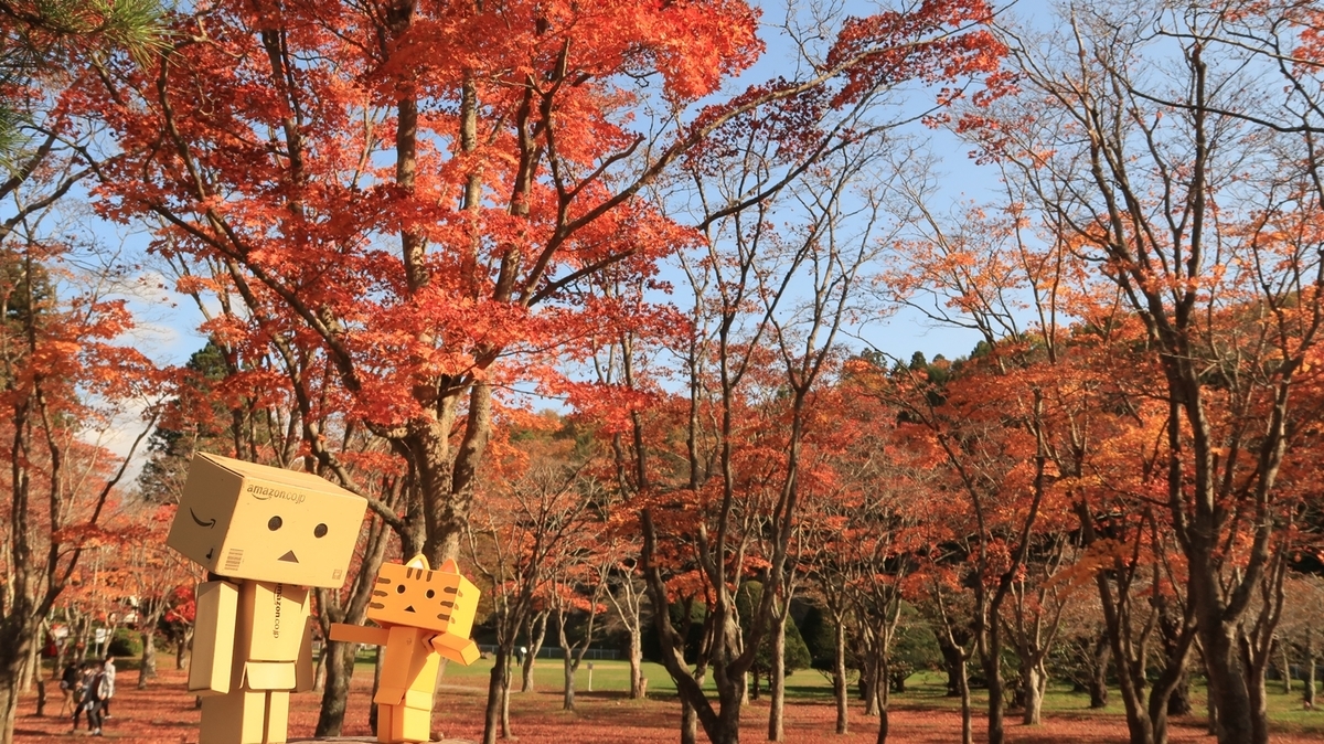 f:id:shirokumapanda:20201031234708j:plain