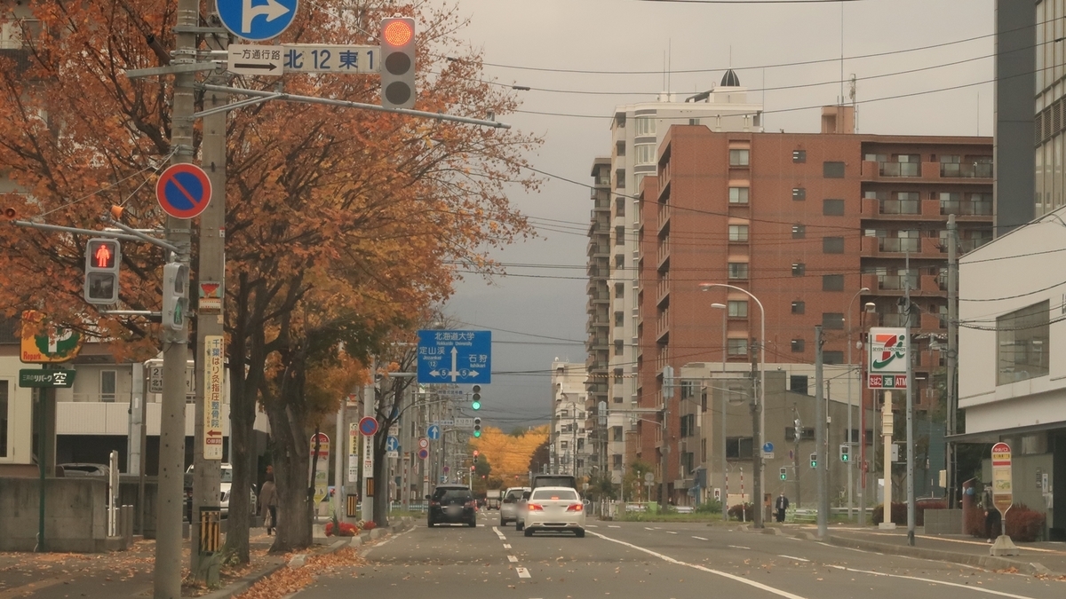 f:id:shirokumapanda:20201102005734j:plain