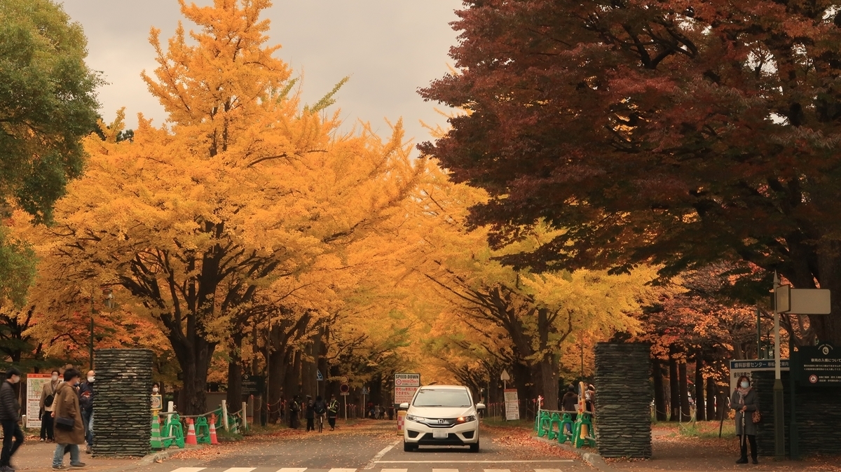 f:id:shirokumapanda:20201102005740j:plain