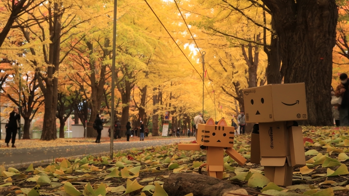 f:id:shirokumapanda:20201102005746j:plain