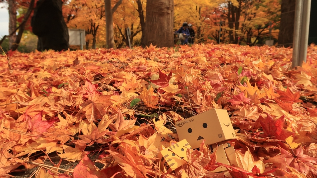 f:id:shirokumapanda:20201102005758j:plain