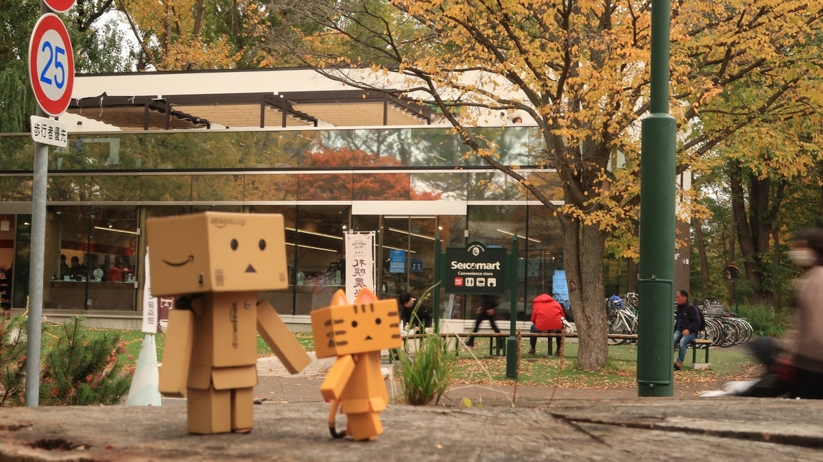 f:id:shirokumapanda:20201102005817j:plain