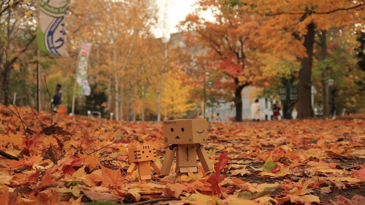 f:id:shirokumapanda:20201102005822j:plain