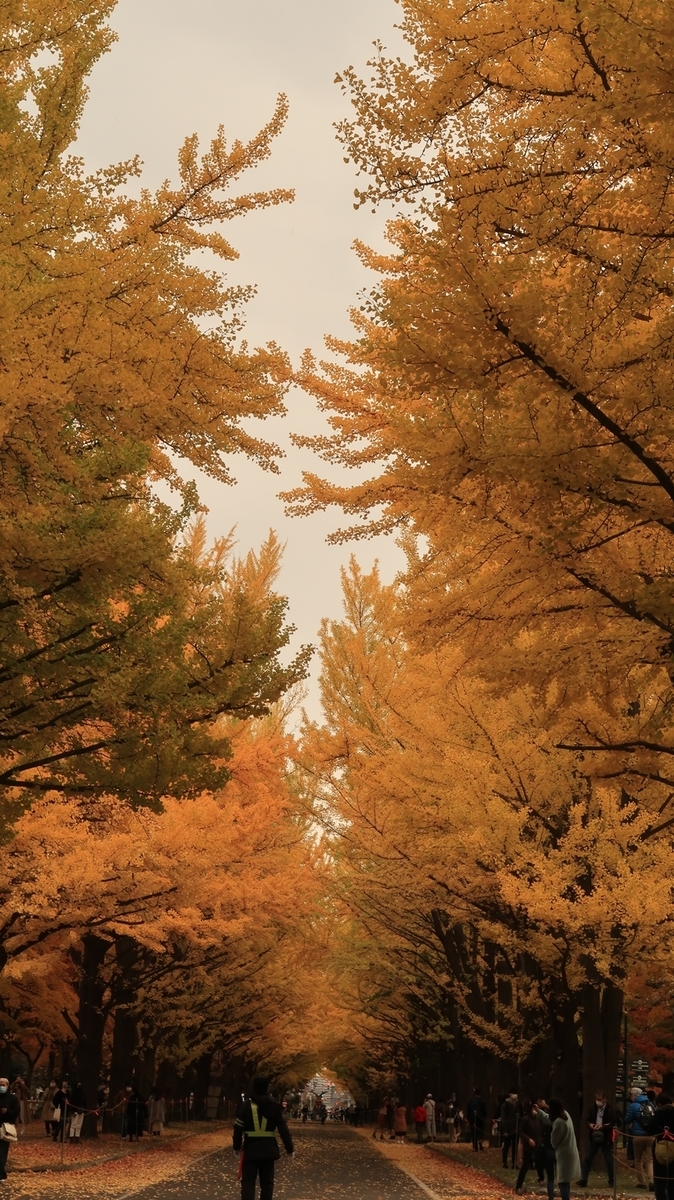 f:id:shirokumapanda:20201102005922j:plain