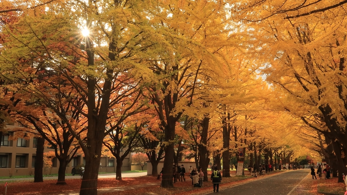 f:id:shirokumapanda:20201102005944j:plain