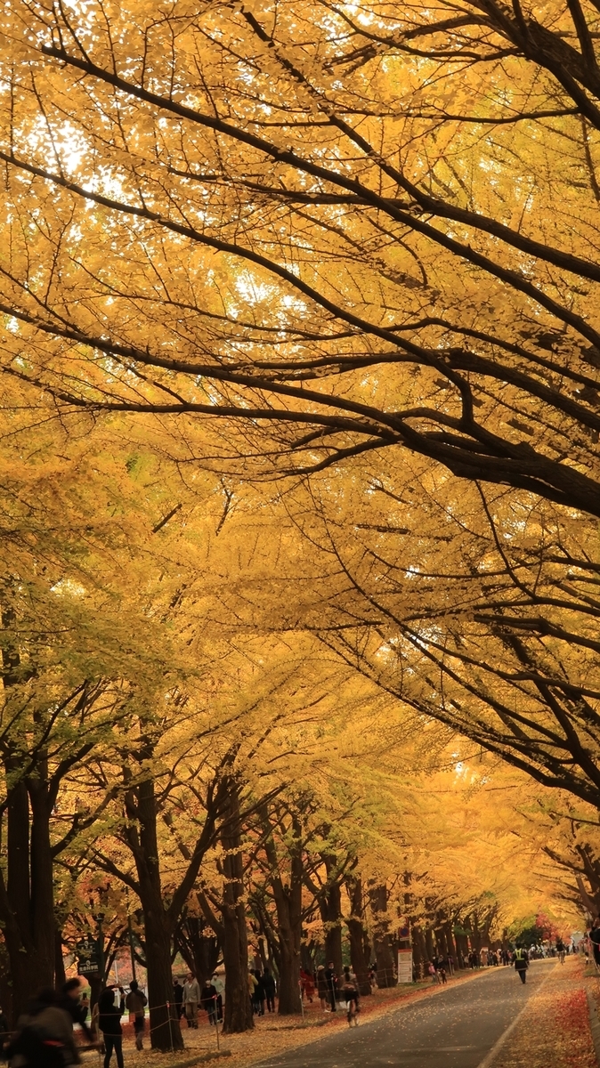 f:id:shirokumapanda:20201102005956j:plain