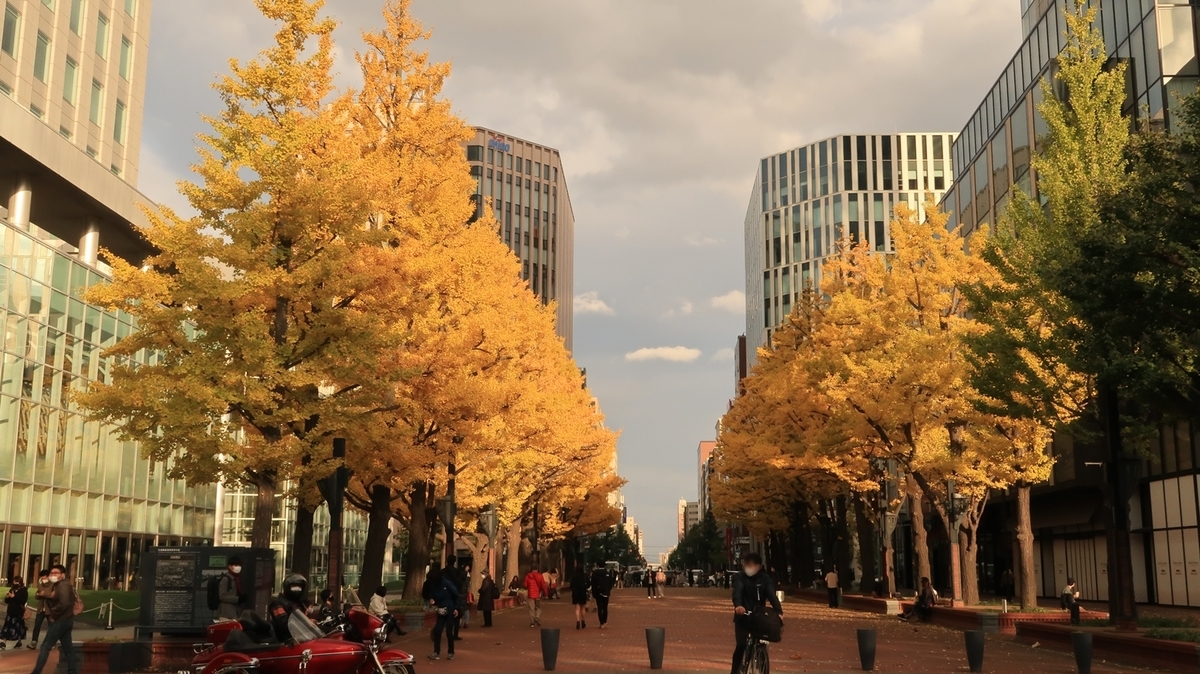 f:id:shirokumapanda:20201102010003j:plain