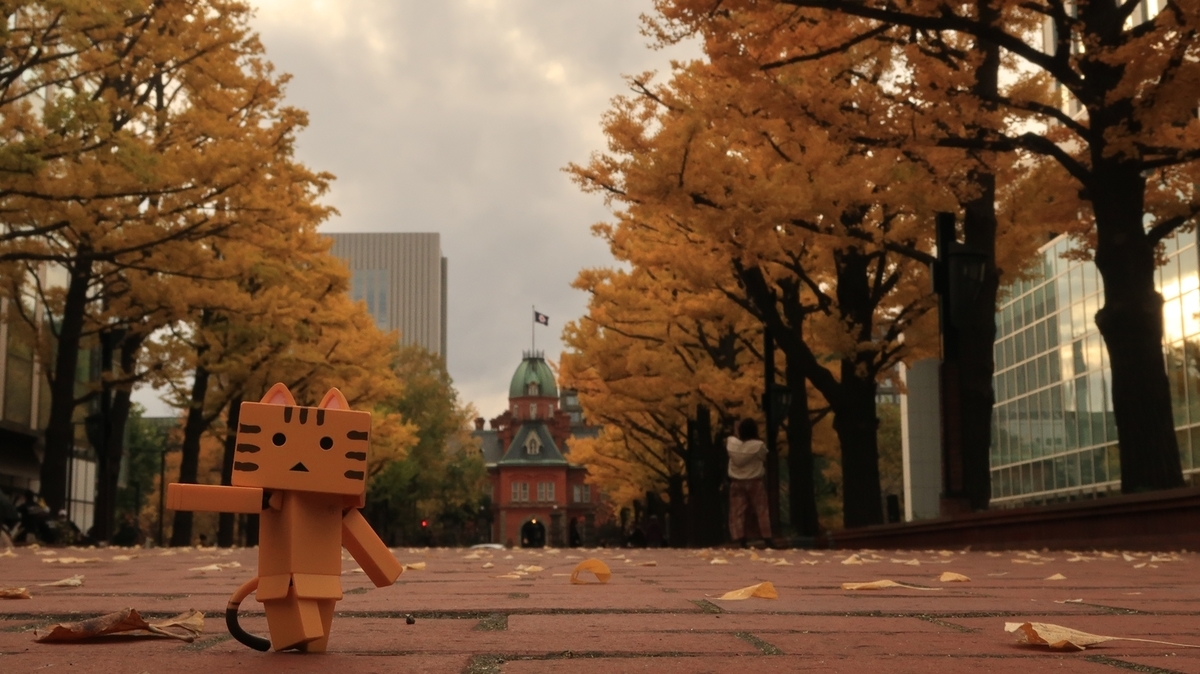 f:id:shirokumapanda:20201102010021j:plain