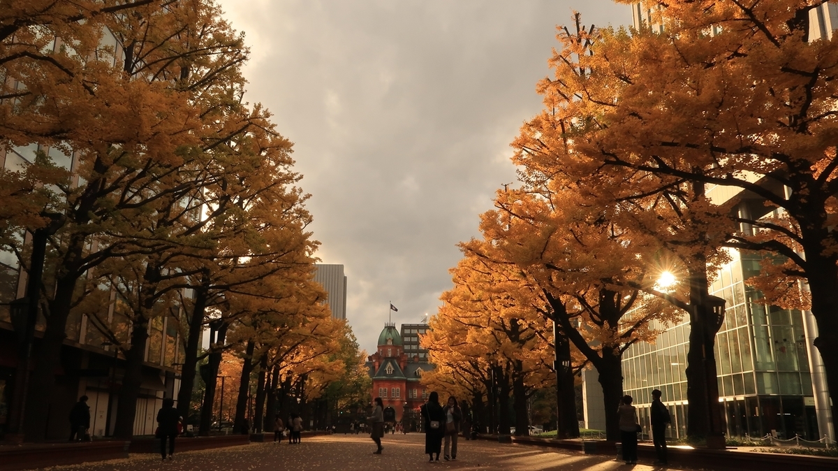 f:id:shirokumapanda:20201102010043j:plain
