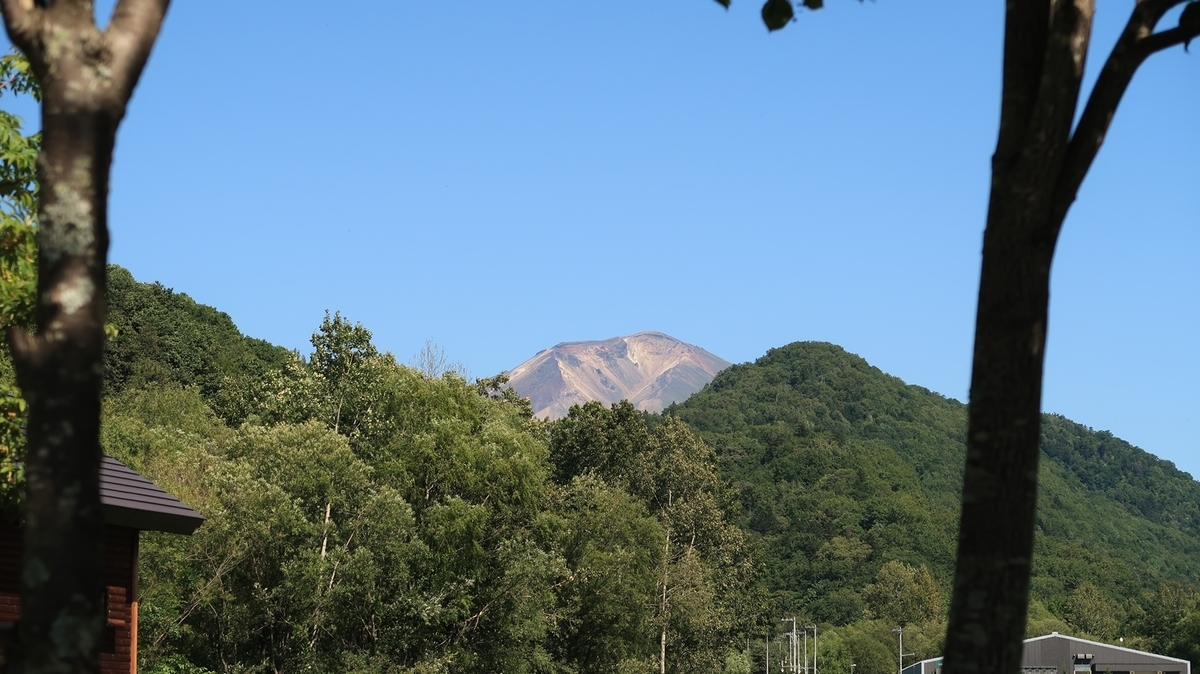f:id:shirokumapanda:20201106001140j:plain