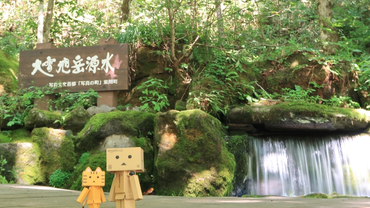 f:id:shirokumapanda:20201107235828j:plain