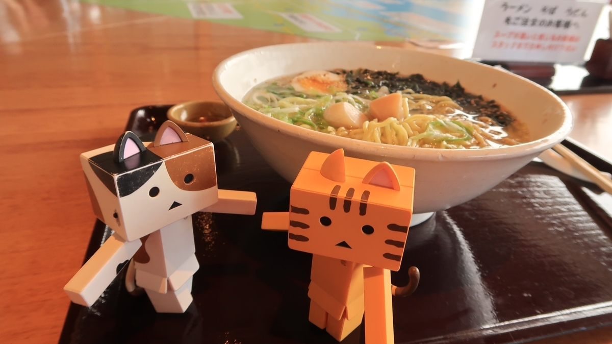 f:id:shirokumapanda:20201117233531j:plain