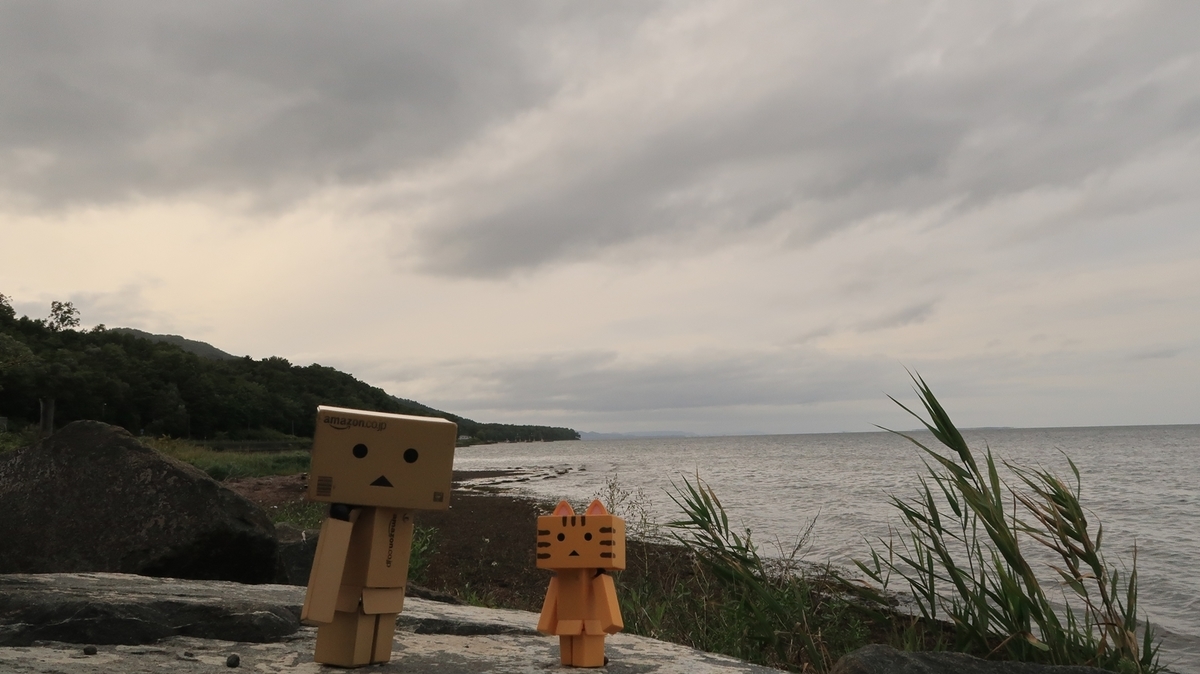 f:id:shirokumapanda:20201119002800j:plain