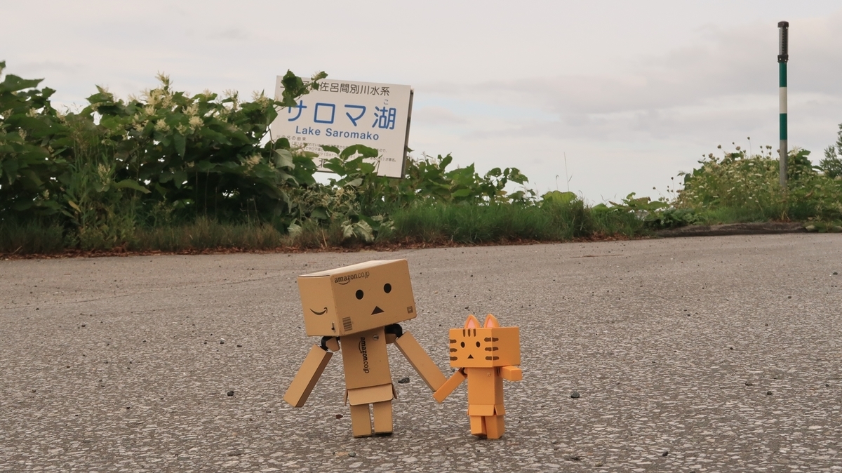 f:id:shirokumapanda:20201119002915j:plain