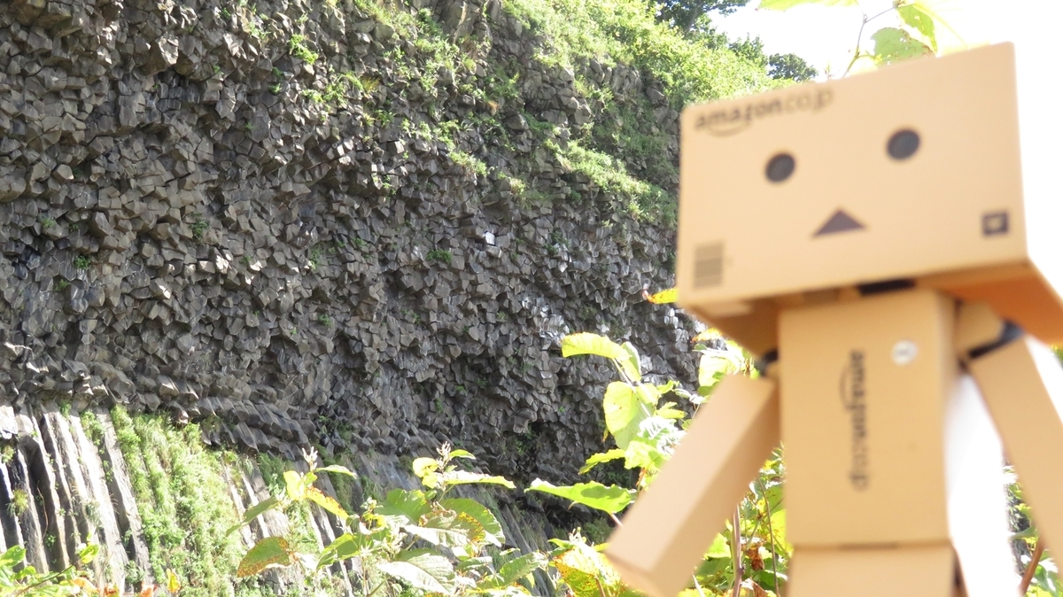 f:id:shirokumapanda:20201205004821j:plain