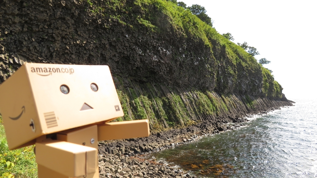 f:id:shirokumapanda:20201205004827j:plain