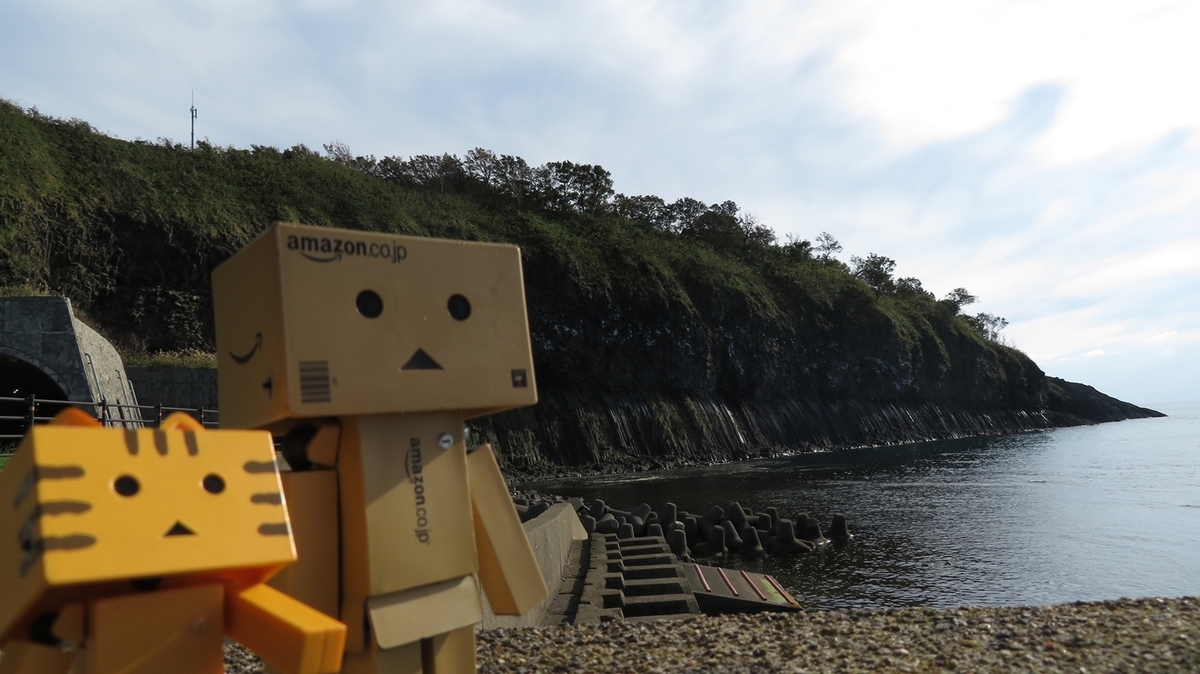 f:id:shirokumapanda:20201205004940j:plain