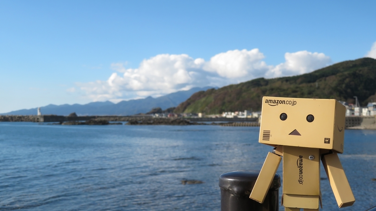 f:id:shirokumapanda:20201205004946j:plain