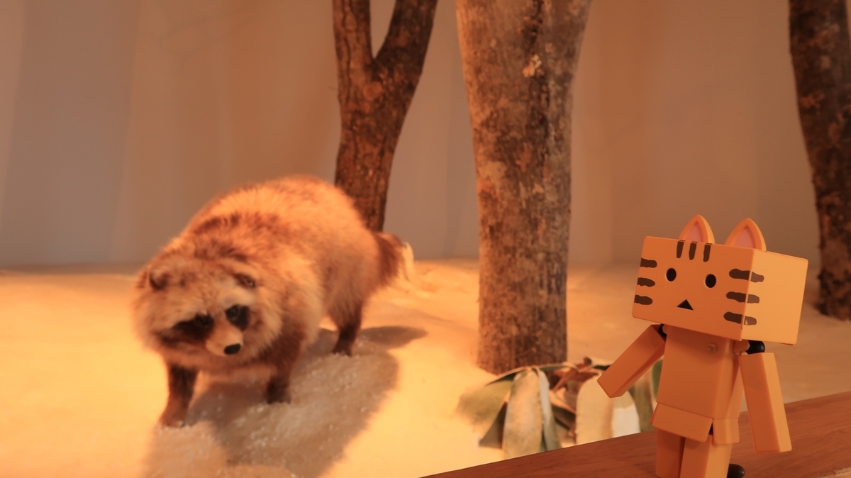 f:id:shirokumapanda:20201207021143j:plain