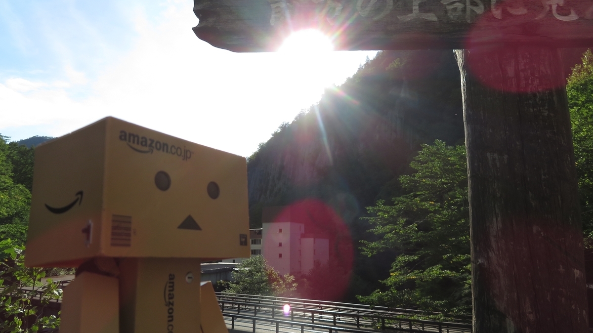 f:id:shirokumapanda:20201207234624j:plain