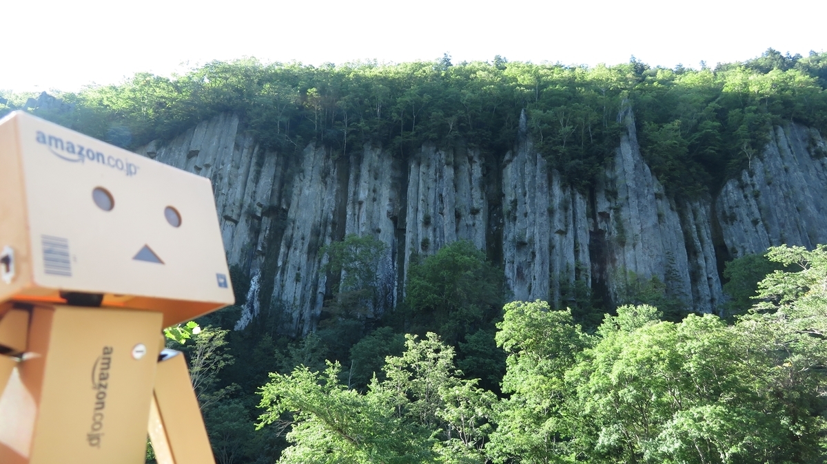 f:id:shirokumapanda:20201207234630j:plain