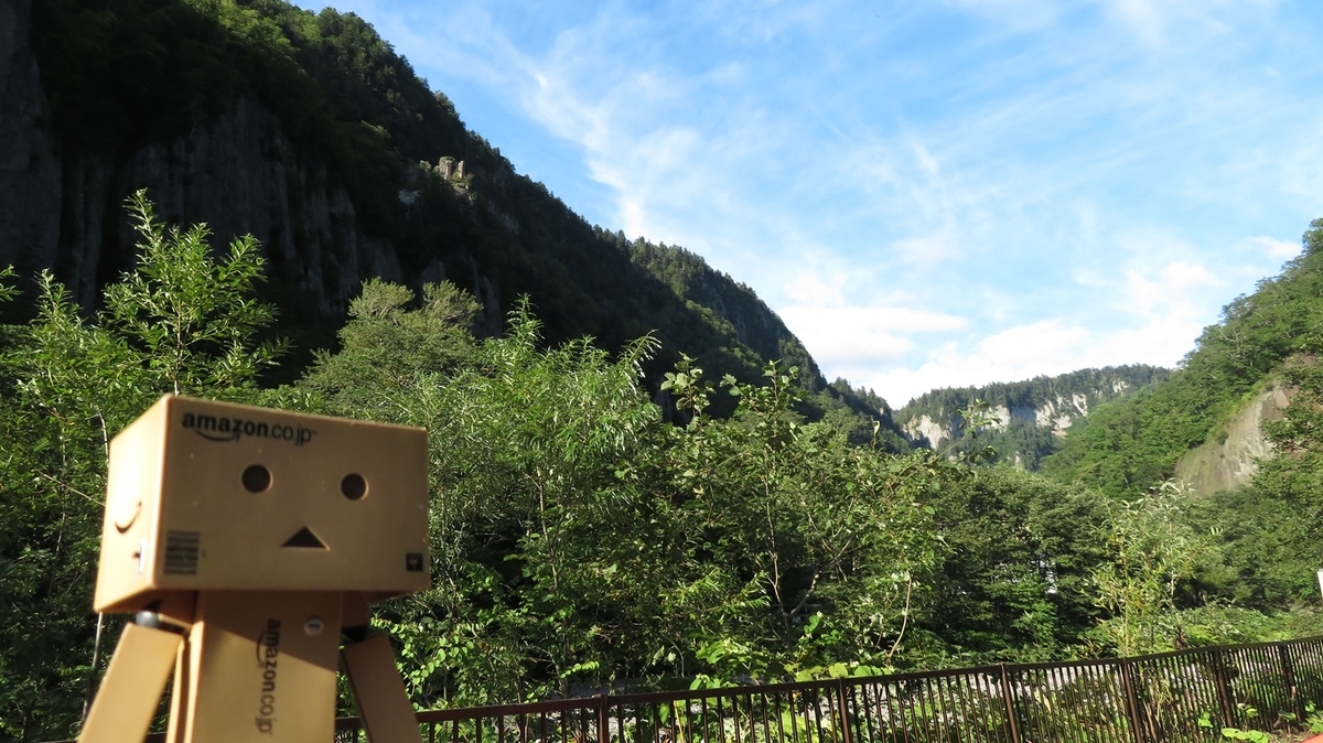 f:id:shirokumapanda:20201207234649j:plain