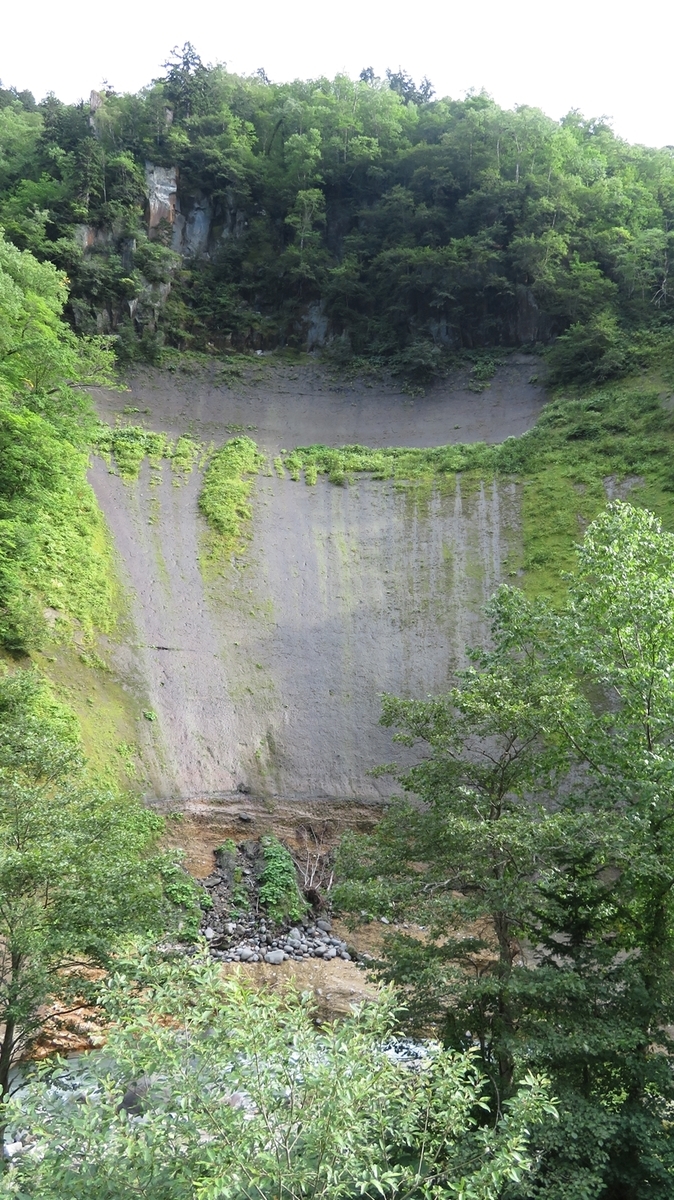 f:id:shirokumapanda:20201211230239j:plain